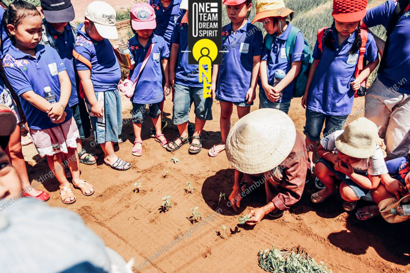 tổ chức tour học sinh kết hợp team building tại làng rau trà quế hội an